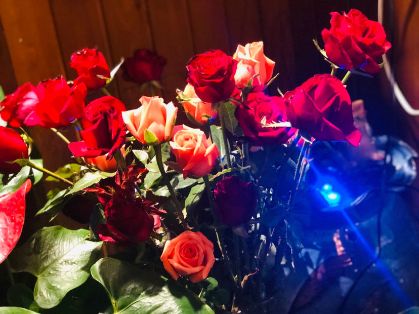 订婚用什么颜色的玫瑰花(婚礼上常用的鲜花推荐)