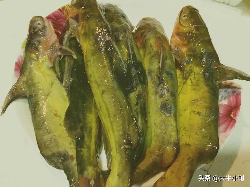 嘎牙子鱼怎么做好吃(东北嘎牙子美食烹饪教程)