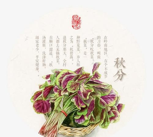 秋分节气吃什么传统食物: