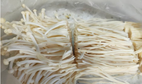 金针菇怎么炒,金针菇炒法大全图3