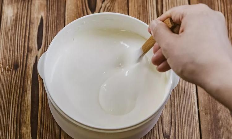 酸奶里面是乳酸菌还是酵母菌