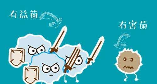 制作酸奶的是什么菌,酸奶里面有什么菌图1