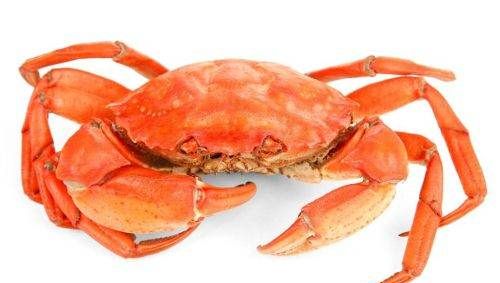 熟螃蟹放冰箱能放多久,熟螃蟹在冰箱里放几天能吃吗图2