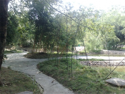 带你一起玩：广东揭阳的万竹园景区