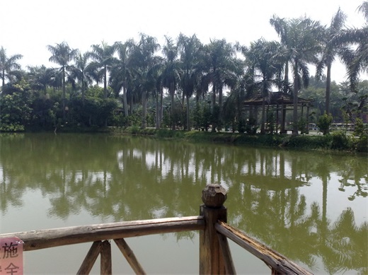 带你一起玩：广东揭阳的万竹园景区