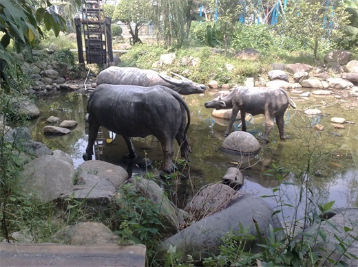 带你一起玩：广东揭阳的万竹园景区