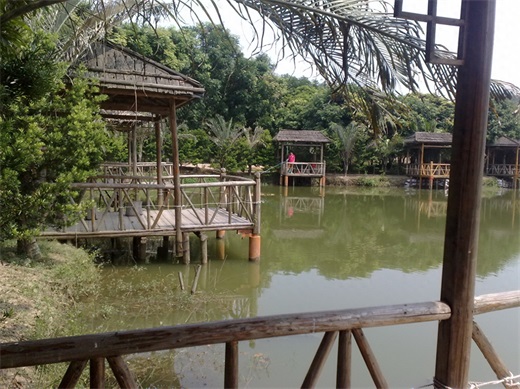 带你一起玩：广东揭阳的万竹园景区