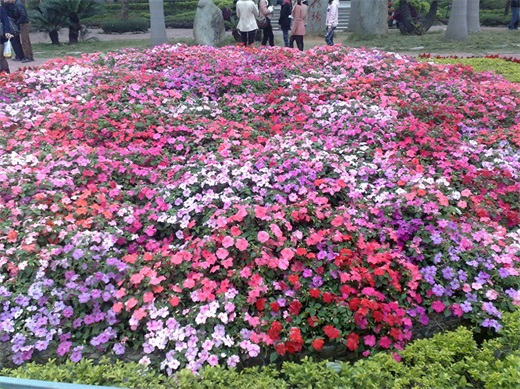 带你一起玩：广东揭阳的万竹园景区