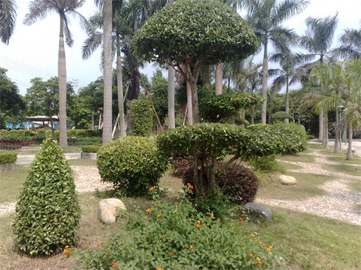 带你一起玩：广东揭阳的万竹园景区