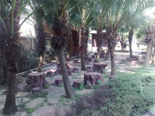 带你一起玩：广东揭阳的万竹园景区