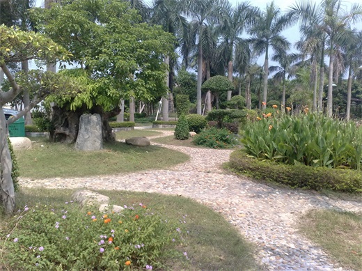 带你一起玩：广东揭阳的万竹园景区