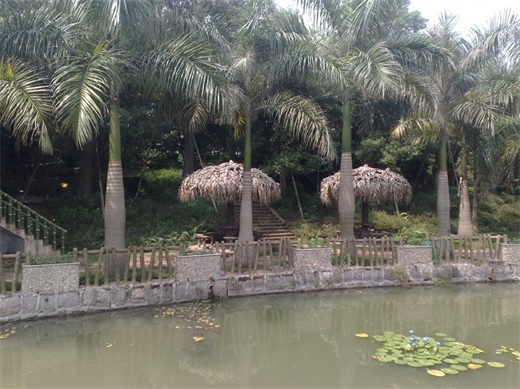 带你一起玩：广东揭阳的万竹园景区