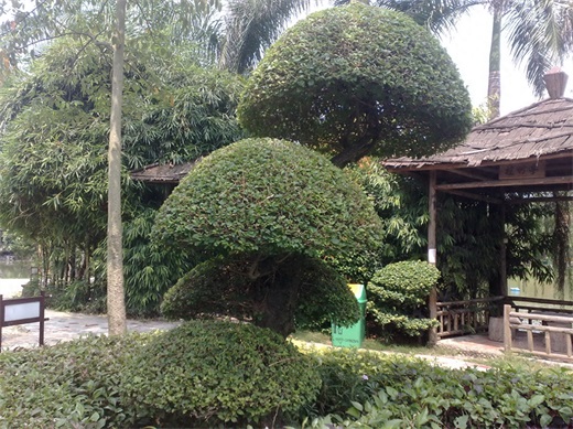 带你一起玩：广东揭阳的万竹园景区