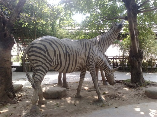 带你一起玩：广东揭阳的万竹园景区
