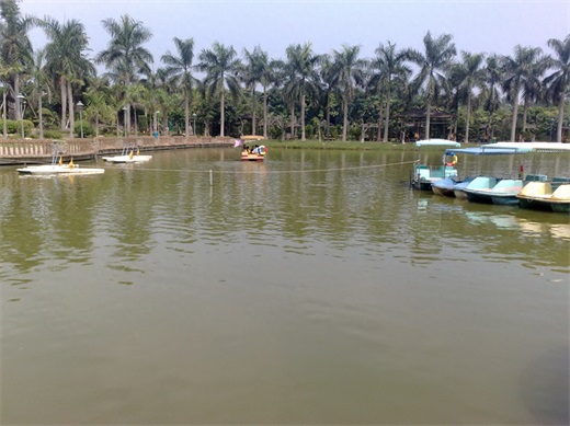 带你一起玩：广东揭阳的万竹园景区