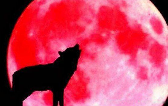 佛教血月的预言 故事传说代表什么(战争和旱灾)