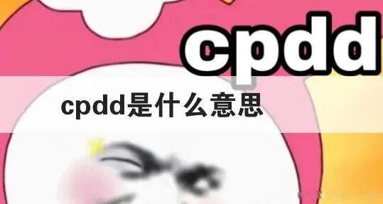 女生对你说cpdd是什么意思 找男生组CP的信号暗示