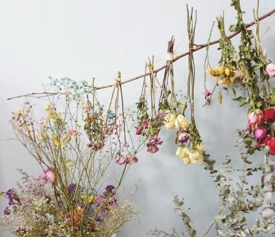 向日葵能做干花吗，如何制作向日葵的干花