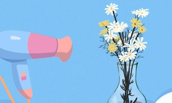 干花制作方法，【DIY】玫瑰花制作干花的方法？图10