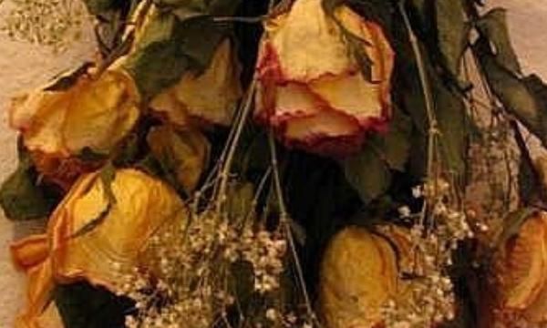 干花制作方法，【DIY】玫瑰花制作干花的方法？图6