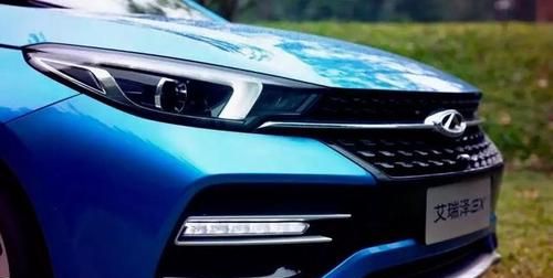 王泽芸名字的意思