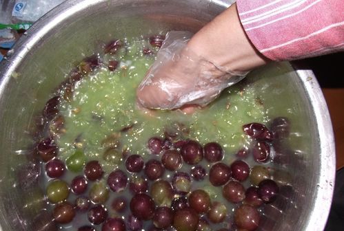 家庭自制葡萄酒的酿造方法