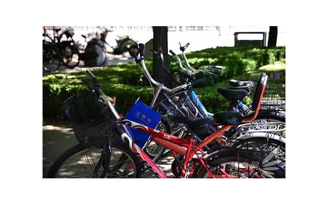 撒贝宁清华，18岁清华学霸单挑23人令撒贝宁震惊