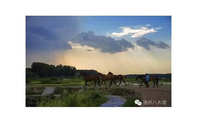 最近好看的日剧？最近好看的日剧推荐一下