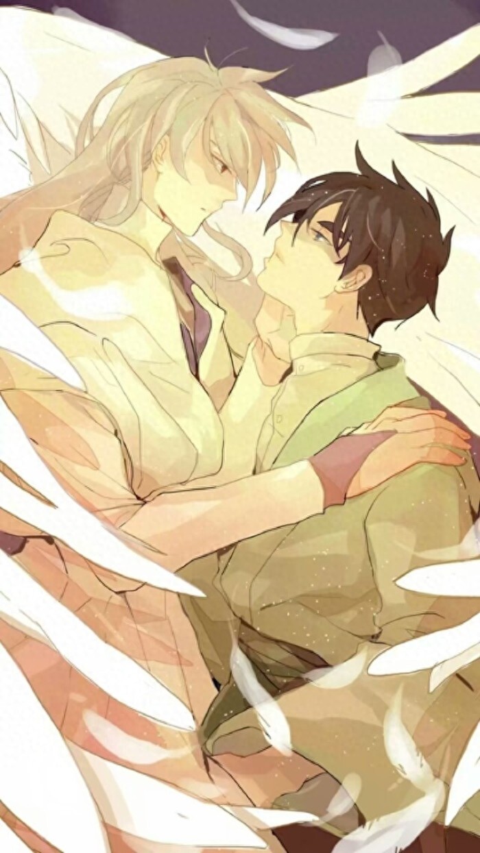 《百变小樱》真是宝藏动画！小时候没看懂的桃矢雪兔CP，现在来磕