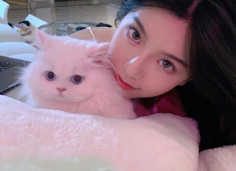 幼儿体能发展的重要性及如何提升？专家分享适用方法