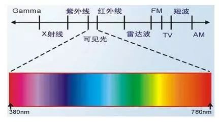 绿色加紫色是什么颜色（三原色是一种生物学概念）
