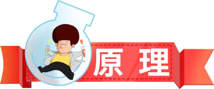 绿色加紫色是什么颜色（三原色是一种生物学概念）