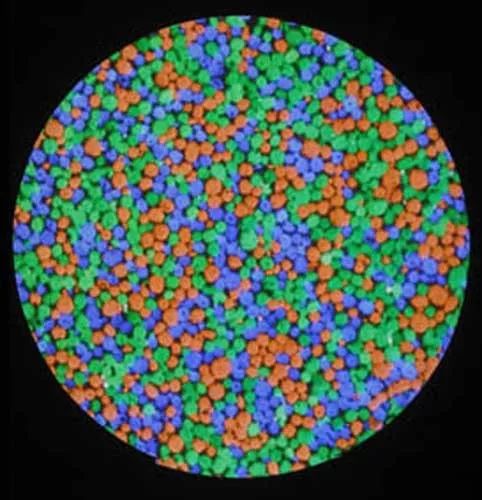 绿色加紫色是什么颜色（三原色是一种生物学概念）