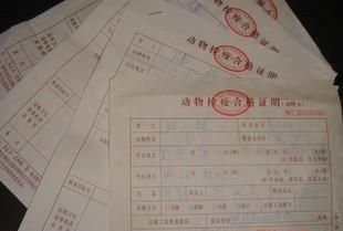 三个月的宠物飞机托运要什么手续