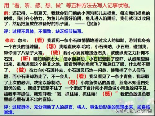 拔河比赛的作文300字三年级(拔河比赛的作文500字六年级)-第1张图片-