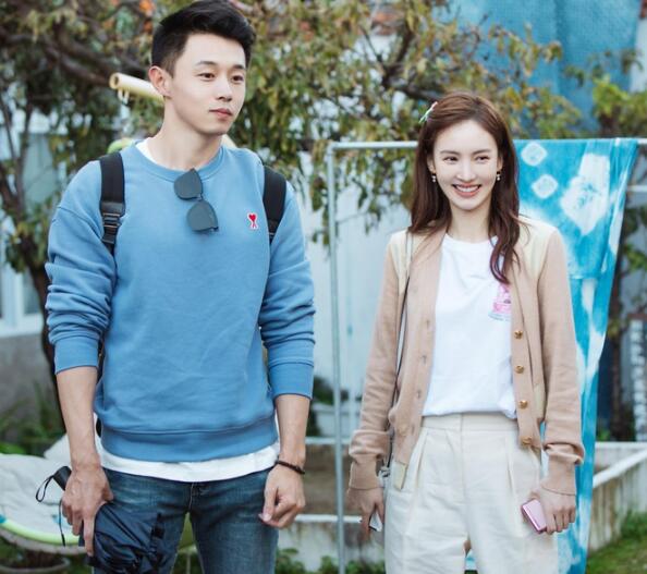 金晨的综艺节目都有哪些