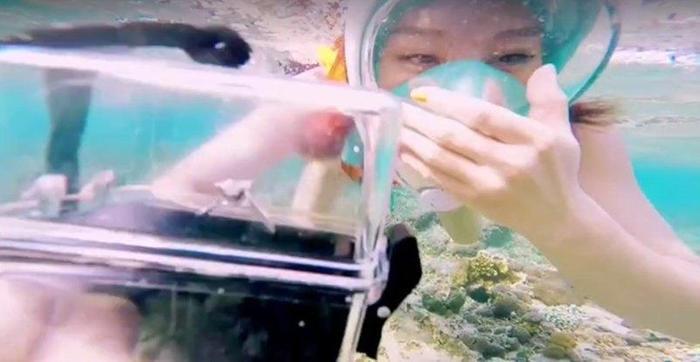 魏晨水下求婚成功!相恋10年,女友是川音同学