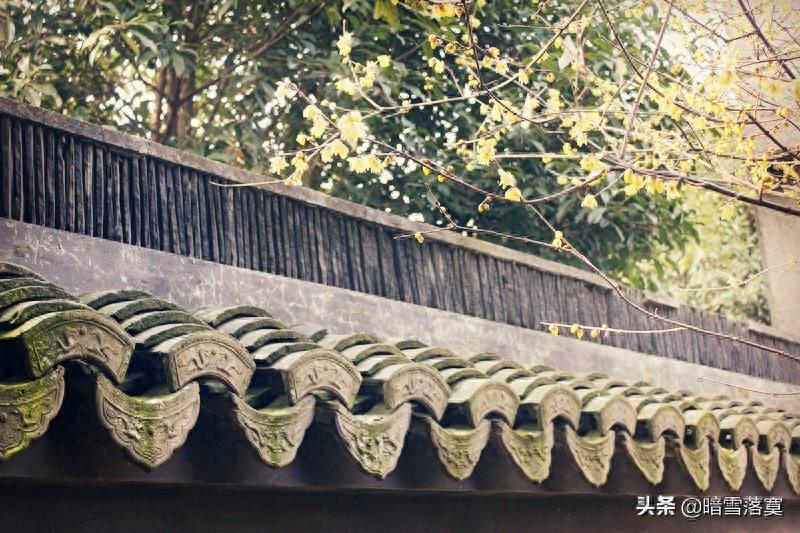 腊梅花花语及传说