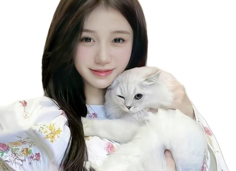 绝代双骄大结局(大结局剧情和感情去向) 绝代双骄大结局(大结局剧情和感情去向)